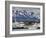 Port of Ushuaia, Tierra Del Fuego, Patagonia, Argentina, South America-Richard Cummins-Framed Photographic Print