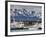 Port of Ushuaia, Tierra Del Fuego, Patagonia, Argentina, South America-Richard Cummins-Framed Photographic Print