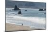 Port Orford beach, Oregon-Alan Majchrowicz-Mounted Photographic Print