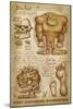 Port Townsend, Washington - Bigfoot da Vinci-Lantern Press-Mounted Art Print