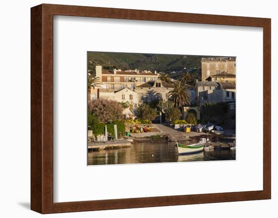 Port View at Dawn, Erbalunga, Le Cap Corse, Corsica, France-Walter Bibikow-Framed Photographic Print