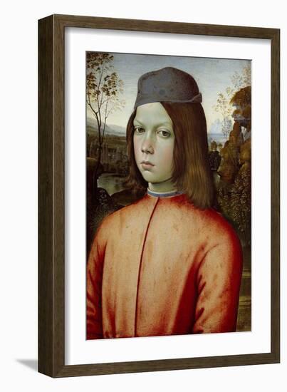 Portait of a Boy, C. 1500-Bernardino Pinturicchio-Framed Giclee Print