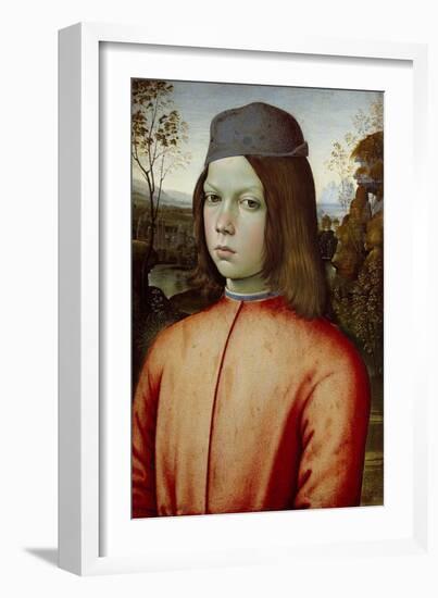 Portait of a Boy, C. 1500-Bernardino Pinturicchio-Framed Giclee Print