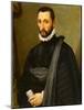 Portait of a Gentleman, 1575-Michele Di Ridolfo Tosini-Mounted Giclee Print