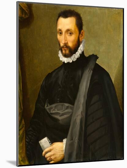 Portait of a Gentleman, 1575-Michele Di Ridolfo Tosini-Mounted Giclee Print