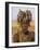 Portait of a Mursi Girl with Clay Lip Plate, Lower Omo Valley, Ethiopia-Gavin Hellier-Framed Photographic Print