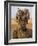 Portait of a Mursi Girl with Clay Lip Plate, Lower Omo Valley, Ethiopia-Gavin Hellier-Framed Photographic Print