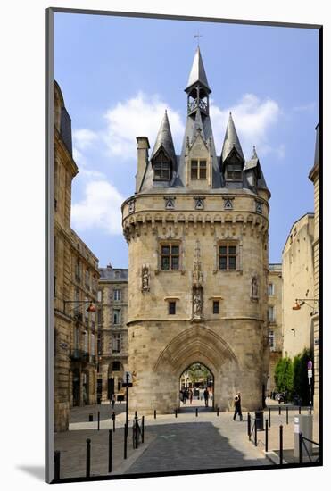 Porte Cailhau, Bordeaux, UNESCO World Heritage Site, Gironde, Aquitaine, France, Europe-Peter Richardson-Mounted Photographic Print