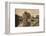 'Porte d'Ostende', c1928-Unknown-Framed Photographic Print