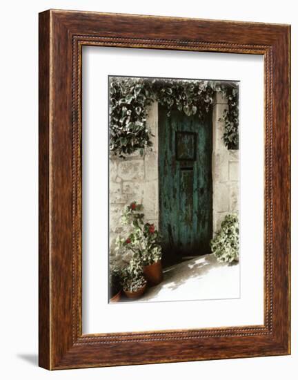 Porte de Printemps-Joane Mcdermott-Framed Art Print