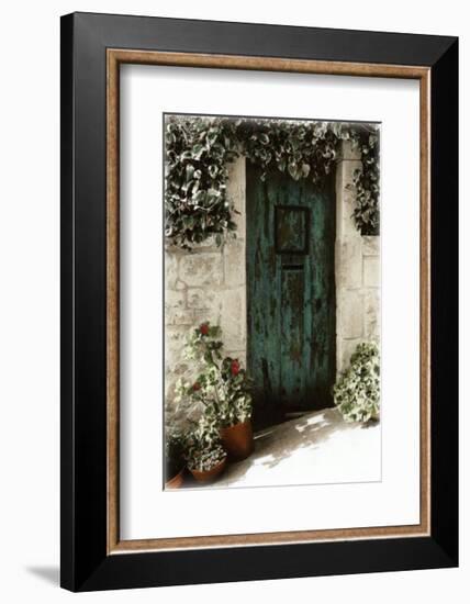 Porte de Printemps-Joane Mcdermott-Framed Art Print