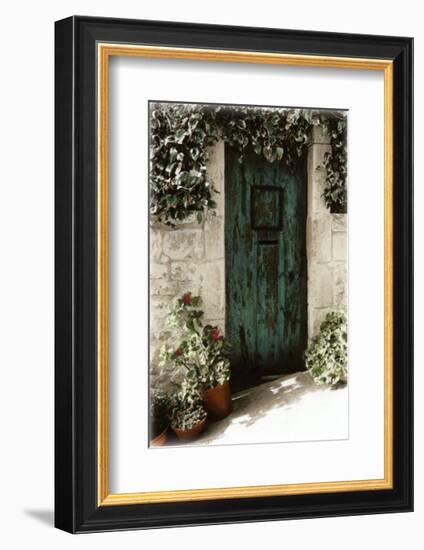 Porte de Printemps-Joane Mcdermott-Framed Art Print