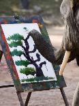 Elephant Painting, Chiang Mai, Thailand, Southeast Asia-Porteous Rod-Photographic Print