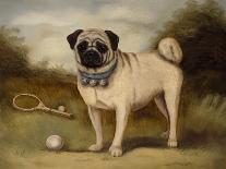 A Pug in Court-Porter Design-Giclee Print