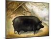 Giclee Print