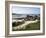 Porth Cress, St. Mary's, Isles of Scilly, United Kingdom, Europe-David Lomax-Framed Photographic Print