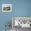 Porth Cress, St. Mary's, Isles of Scilly, United Kingdom, Europe-David Lomax-Framed Photographic Print displayed on a wall