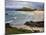 Porthmeor Beach, St. Ives, Cornwall, England, United Kingdom, Europe-Roy Rainford-Mounted Photographic Print