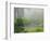 Portland Japanese Garden Fogged In: Portland, Oregon United States of America, USA-Michel Hersen-Framed Photographic Print