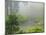 Portland Japanese Garden Fogged In: Portland, Oregon United States of America, USA-Michel Hersen-Mounted Photographic Print