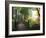 Portland Japanese Garden in Autumn, Portland, Oregon, USA-Michel Hersen-Framed Photographic Print