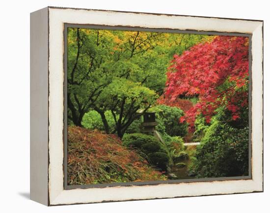 Portland Japanese Garden in Autumn, Portland, Oregon, USA-Michel Hersen-Framed Premier Image Canvas