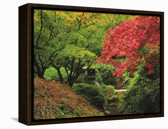 Portland Japanese Garden in Autumn, Portland, Oregon, USA-Michel Hersen-Framed Premier Image Canvas