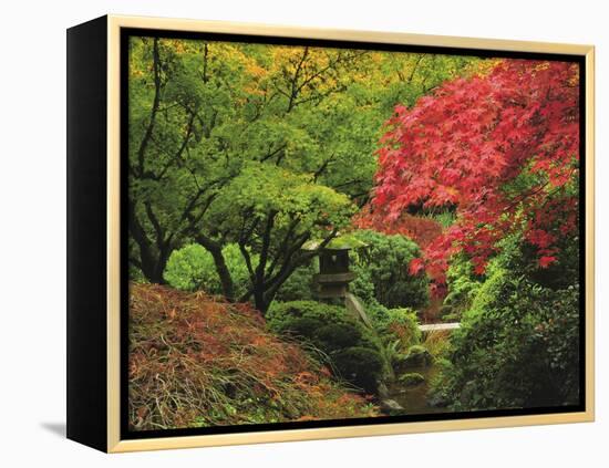 Portland Japanese Garden in Autumn, Portland, Oregon, USA-Michel Hersen-Framed Premier Image Canvas
