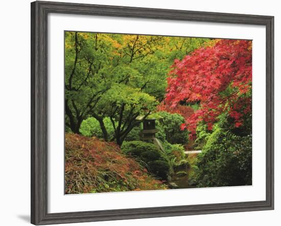 Portland Japanese Garden in Autumn, Portland, Oregon, USA-Michel Hersen-Framed Photographic Print