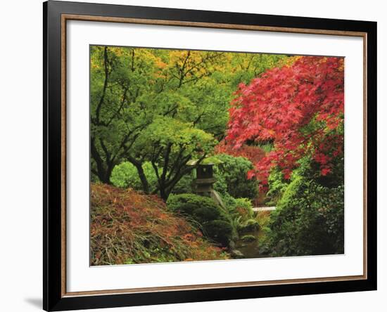 Portland Japanese Garden in Autumn, Portland, Oregon, USA-Michel Hersen-Framed Photographic Print