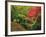 Portland Japanese Garden in Autumn, Portland, Oregon, USA-Michel Hersen-Framed Photographic Print