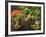 Portland Japanese Garden in Autumn, Portland, Oregon, USA-Michel Hersen-Framed Photographic Print