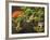 Portland Japanese Garden in Autumn, Portland, Oregon, USA-Michel Hersen-Framed Photographic Print