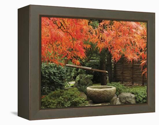 Portland Japanese Garden in Autumn, Portland, Oregon, USA,-Michel Hersen-Framed Premier Image Canvas