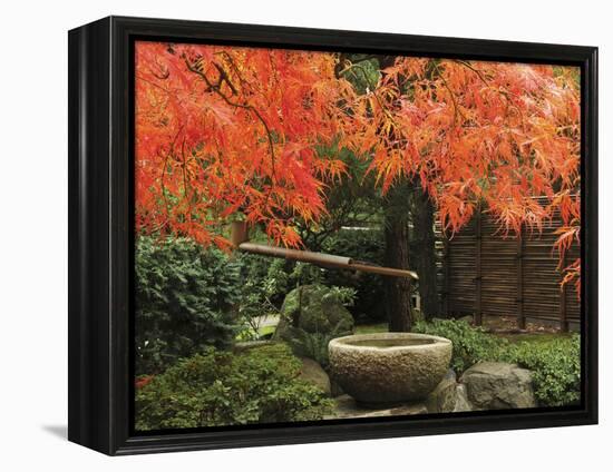 Portland Japanese Garden in Autumn, Portland, Oregon, USA,-Michel Hersen-Framed Premier Image Canvas