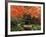 Portland Japanese Garden in Autumn, Portland, Oregon, USA,-Michel Hersen-Framed Photographic Print