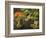 Portland Japanese Garden in Autumn, Portland, Oregon, USA-Michel Hersen-Framed Photographic Print