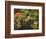 Portland Japanese Garden in Autumn, Portland, Oregon, USA-Michel Hersen-Framed Photographic Print