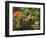 Portland Japanese Garden in Autumn, Portland, Oregon, USA-Michel Hersen-Framed Photographic Print