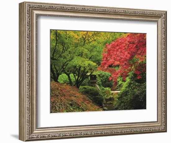 Portland Japanese Garden in Autumn, Portland, Oregon, USA-Michel Hersen-Framed Photographic Print