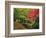 Portland Japanese Garden in Autumn, Portland, Oregon, USA-Michel Hersen-Framed Photographic Print