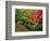 Portland Japanese Garden in Autumn, Portland, Oregon, USA-Michel Hersen-Framed Photographic Print