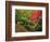 Portland Japanese Garden in Autumn, Portland, Oregon, USA-Michel Hersen-Framed Photographic Print