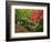 Portland Japanese Garden in Autumn, Portland, Oregon, USA-Michel Hersen-Framed Photographic Print