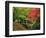 Portland Japanese Garden in Autumn, Portland, Oregon, USA-Michel Hersen-Framed Photographic Print