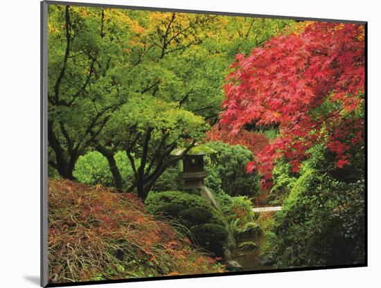 Portland Japanese Garden in Autumn, Portland, Oregon, USA-Michel Hersen-Mounted Photographic Print