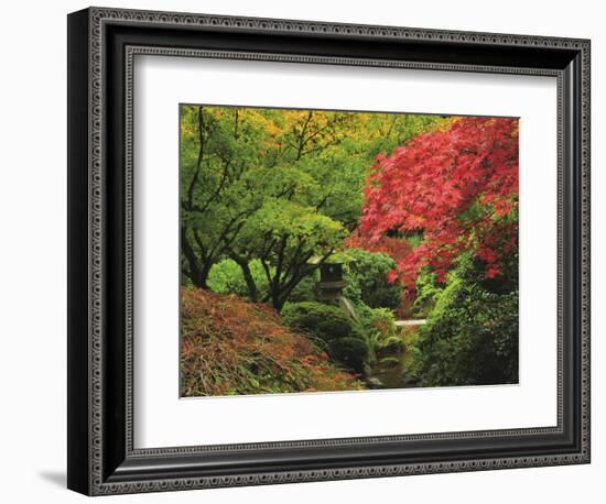 Portland Japanese Garden in Autumn, Portland, Oregon, USA-Michel Hersen-Framed Photographic Print