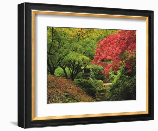 Portland Japanese Garden in Autumn, Portland, Oregon, USA-Michel Hersen-Framed Photographic Print