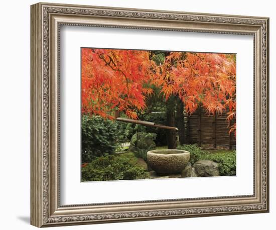 Portland Japanese Garden in Autumn, Portland, Oregon, USA,-Michel Hersen-Framed Photographic Print