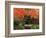 Portland Japanese Garden in Autumn, Portland, Oregon, USA,-Michel Hersen-Framed Photographic Print